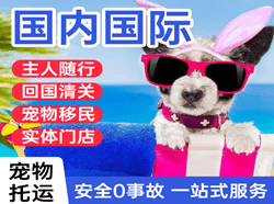 佳木斯机场物流国际宠物托运 【国